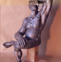 El gavilán